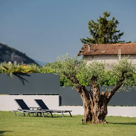 Vakantieboerderij Vinea Rural - Adults Only
